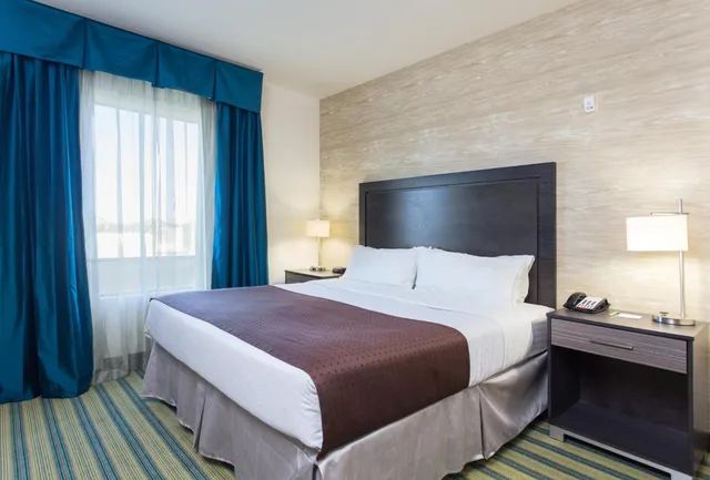 جناح بسرير كينج مع أريكة لذوي الإعاقة، Holiday Inn Texarkana Arkansas Conv Ctr 2/2