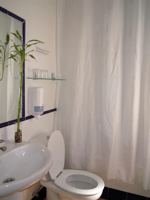 غرفة قياسية بسرير مزدوج، Hostal Moscatel 3/3