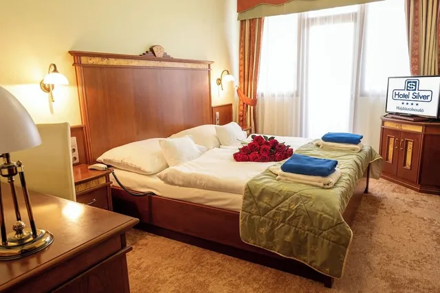 جناح رئاسي بشرفة بغرفة نوم واحدة، Hotel Silver 1/1