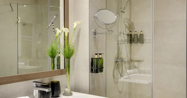 غرفة قياسية، Melia Madrid Serrano 4/4