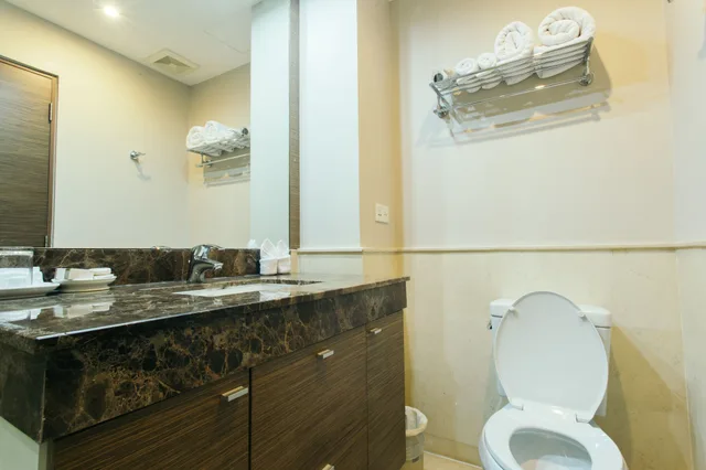 غرفة قياسية بسريرين منفصلين، Thomson Residence 6/8