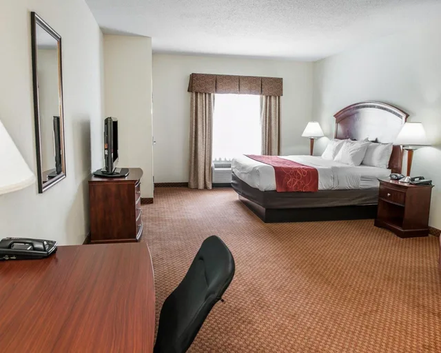 جناح بسرير كينج مع أريكة، Comfort Suites near Indianapolis Airport 3/6