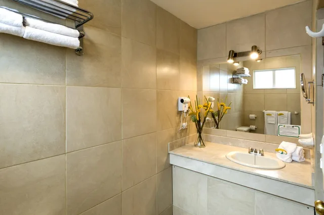Suite, Hotel Suites Cristina 5/5