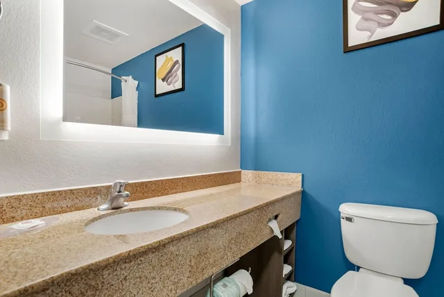 جناح بسرير كينج بغرفة نوم واحدة، Comfort Inn & Suites Dothan Northside Plaza 7/8