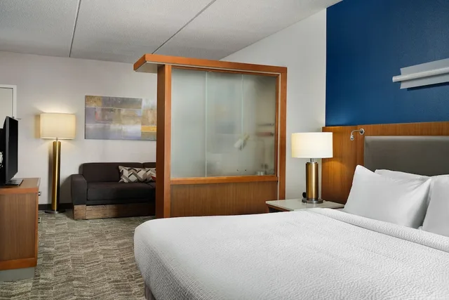 استوديو مع أريكة لذوي الإعاقة، Springhill Suites By Marriott Pittsburgh Mt Lebanon 1/3