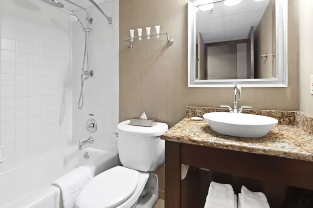 غرفة بسرير كينج لذوي الإعاقة، Radisson Hotel La Crosse 9/10