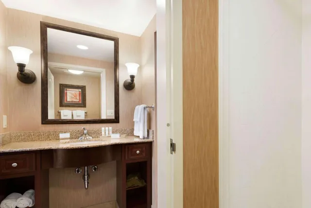 1 Bedroom, Suite, King Bed, Sofa, HOMEWOOD SUITE MINNEAPOLIS-ST. LOUIS PARK 2/2