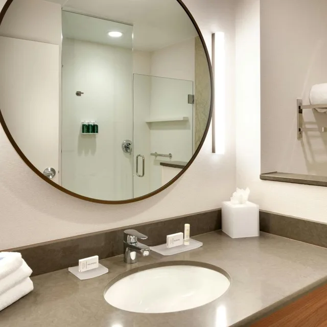 غرفة بسرير كينج بحوض استحمام لذوي الإعاقة، Fairfield Inn And Suites Denver West Federal Center 2/4
