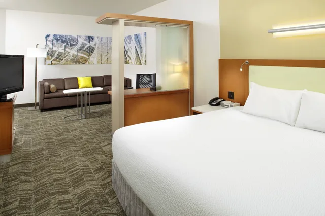 استوديو بسرير كينج مع أريكة لذوي الإعاقة، Springhill Suites By Marriott Chicago Waukegan Gurnee 1/6