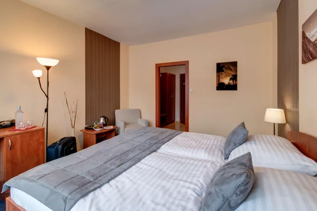 Executive, Double Bed, Best Western Hotel Vista 2/10
