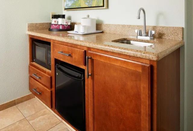 Hospitality, Suite, King Bed, Sofa، Hampton Inn and Suites Savannah Midtown 3/3
