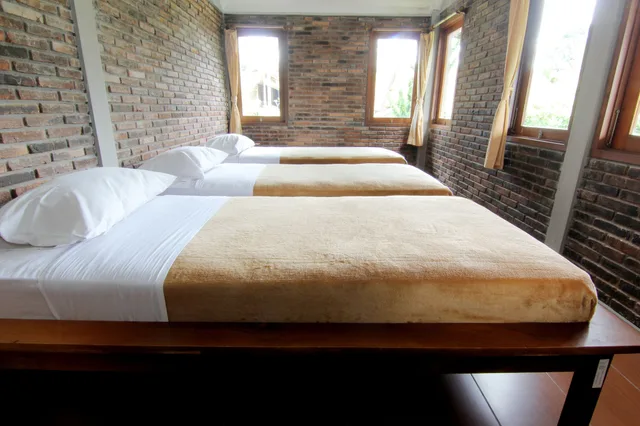 2 Bedrooms, House, 4 Beds، Disaster Oasis 1/10