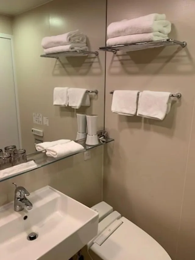 Moderate, Single, Semi Double Bed، Tokyu Stay Ginza 7/8
