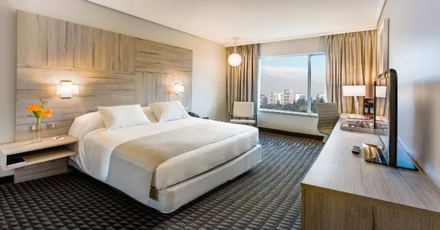 غرفة قياسية مفردة، Pullman Santiago Vitacura 1/1