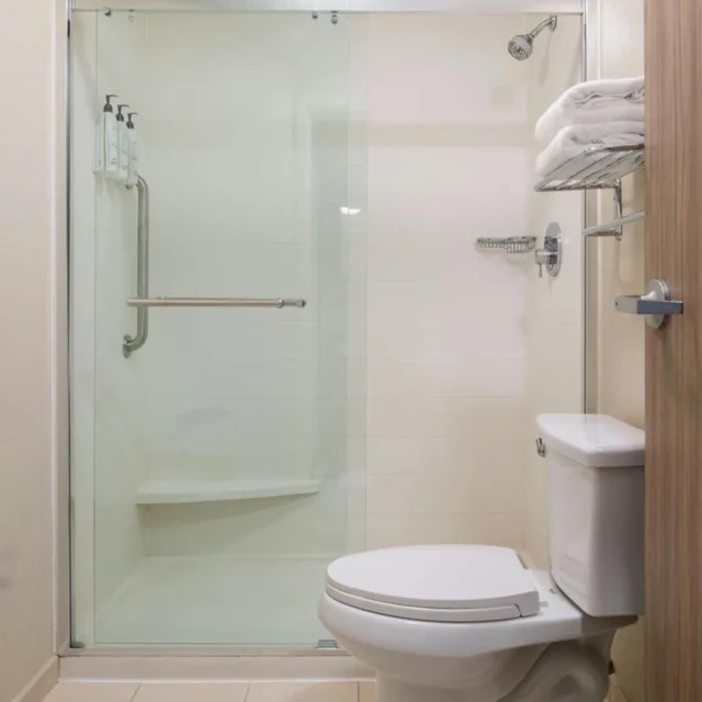 جناح بسرير كينج مع أريكة بحوض استحمام لذوي الإعاقة، SpringHill Suites by Marriott New Orleans Warehouse Arts District 4/10