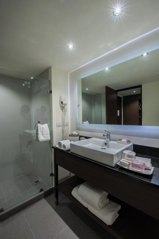 Standard, King Bed, Holiday Inn GUADALAJARA EXPO 7/9