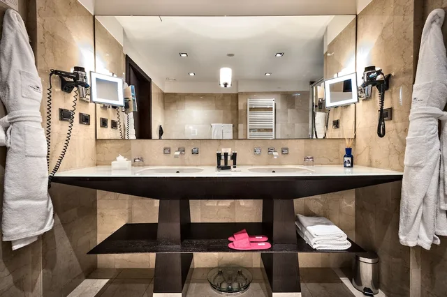 Premium, Twin Beds, Corner, Crowne Plaza Milan City 9/9
