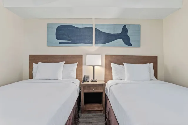 جناح بسريرين مزدوجين بإطلالة على المسبح بغرفة نوم واحدة مع أريكة، Sandpiper Beacon Beach Resort 2/3