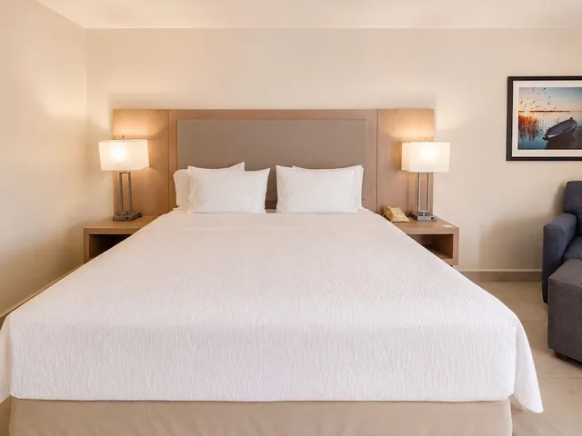 غرفة قياسية بسرير كينج، Hampton Inn By Hilton Monterrey-Airport 3/5