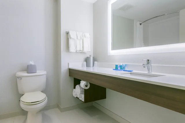 Suite, King Bed, Hot Tub, Holiday Inn Express Hotel Stes Mt Arlington Rockaway Area 8/9