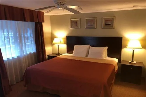 غرفة بسرير كينج، Global Inn 1/2