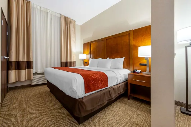 جناح بسرير كينج، Comfort Suites La Vista - Omaha 2/3
