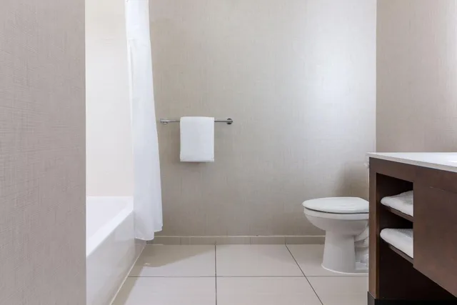 جناح بسرير كينج بغرفة نوم واحدة مع أريكة لذوي الإعاقة، RESIDENCE INN DECATUR FORSYTH 4/10