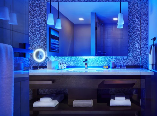 جناح بغرفة نوم واحدة مع أريكة، INTERCONTINENTAL MINNEAPOLIS - ST. PAUL AIRPORT 1/2