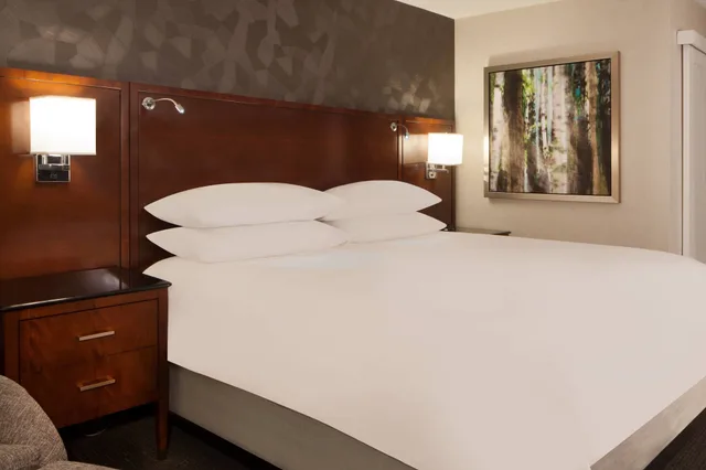 Pure, King Bed، Omaha Marriott 3/4
