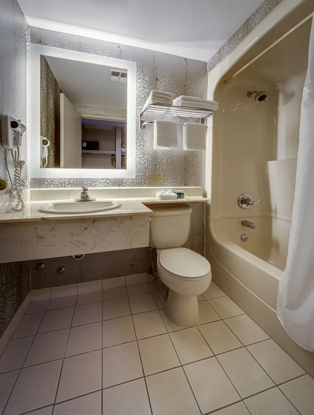 جناح فاخر بسرير كينج بحوض جاكوزي، Monte Carlo Inn Markham 2/4