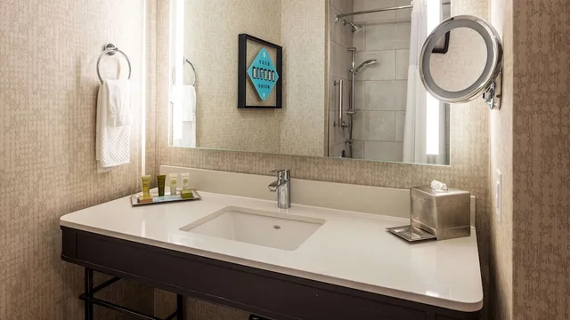 جناح بسرير كينج، Hilton Austin Airport 3/5