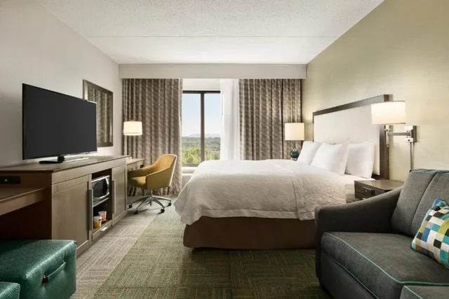 Studio, King Bed, Hampton Inn Reading/Wyomissing 2/3