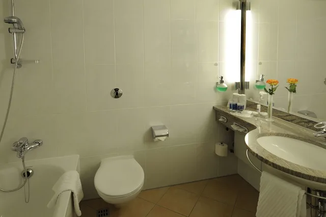 Smart, Classic, Double Bed، Maritim Hotel Darmstadt 5/6