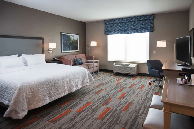 غرفة بسرير كينج لذوي الإعاقة، Hampton Inn Suites Wisconsin Dells Lake Delton 2/5
