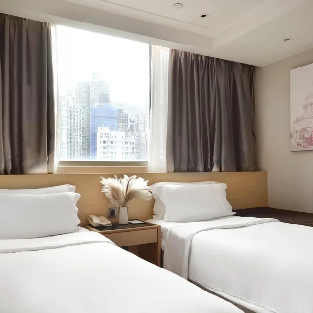 غرفة سوبيريور بسريرين منفصلين بإطلالة على المدينة، Eco Tree Hotel 3/10