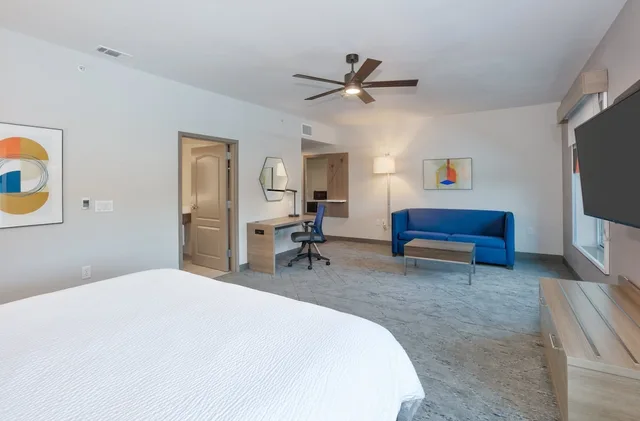 غرفة قياسية بسرير كينج مع أريكة، Holiday Inn Express Amp Suites North Dallas At Preston 1/10