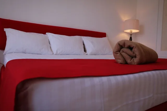 غرفة قياسية بسرير كينج، Hotel Zar Guadalajara 8/10