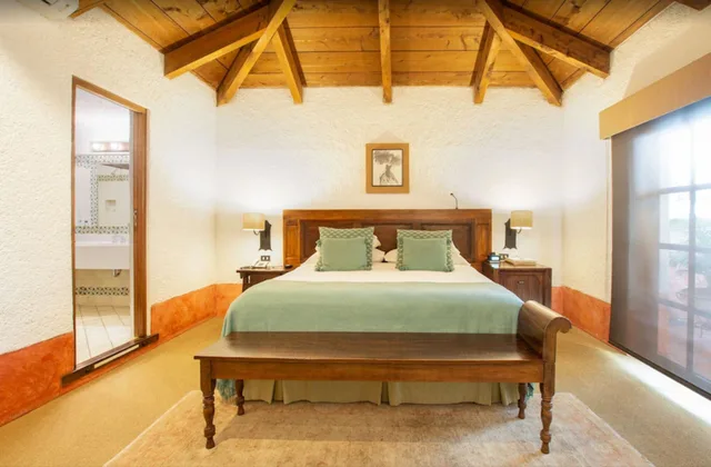 غرفة قياسية بسرير كينج بحوض جاكوزي، Hotel Museo Spa Casa Santo Domingo 1/4