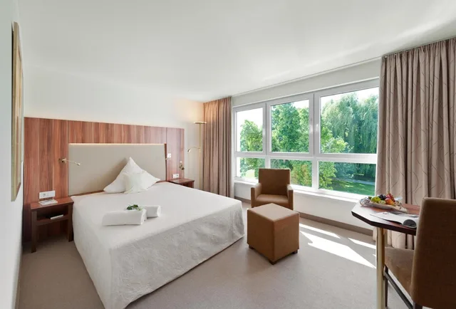 غرفة سوبيريور مفردة، Ringhotel Am Stadtpark 2/6