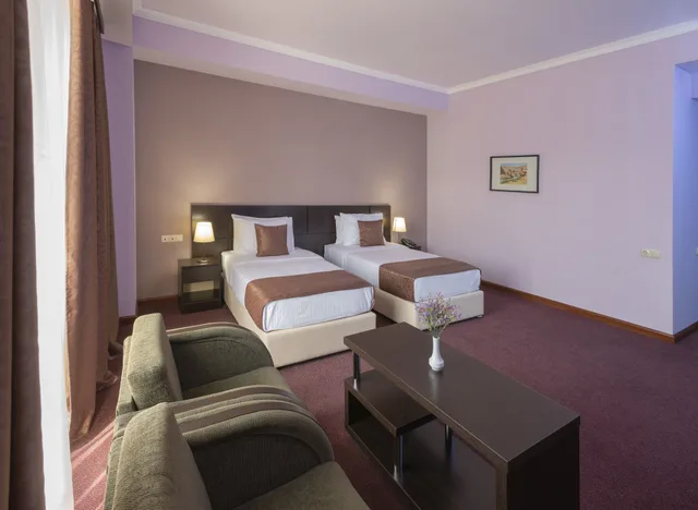 Superior, Double Bed, Ani Central Inn Ex Silachi 1/3
