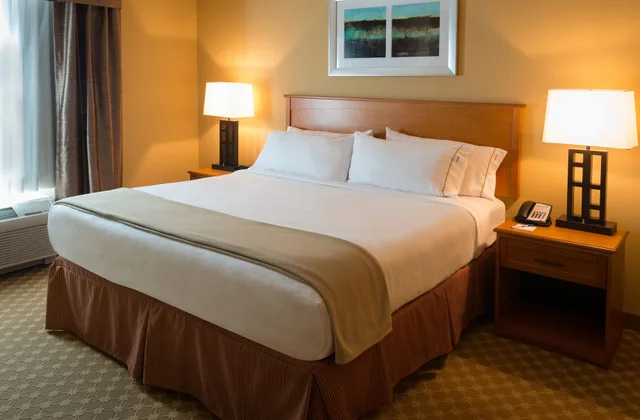 جناح بسرير كينج بغرفة نوم واحدة لذوي الإعاقة، Holiday Inn Express Suites Chicago West Roselle 1/3