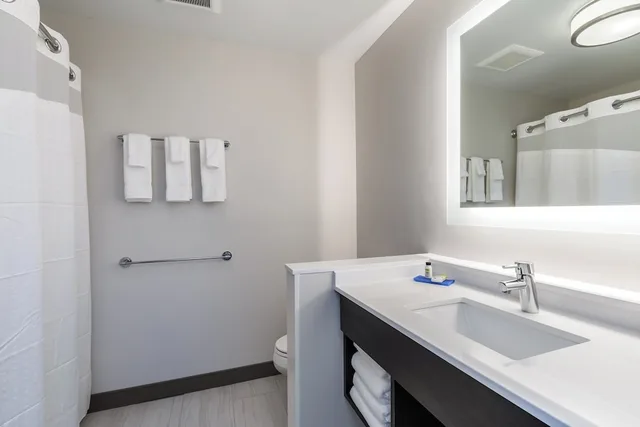 جناح بسرير كينج مع أريكة، Holiday Inn Express and Suites South Bend South 3/3