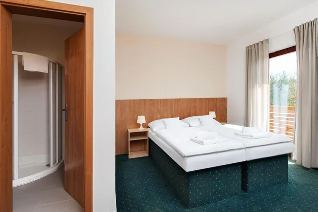 غرفة بسرير مزدوج أو سريرين منفصلين، Hotel Panská Lícha 2/8