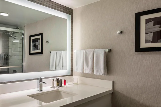Room, King Bed, Balcony, Accessible, Boston Marriott Newton 7/8