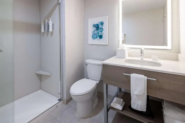 1 Bedroom, Suite, King Bed, Sofa, Kitchen, Hampton Inn & Suites Venice Bayside South Sarasota 7/9
