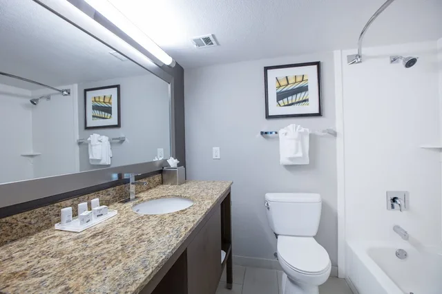غرفة قياسية بسرير كينج، Holiday Inn St Louis Sw Route 66 3/6