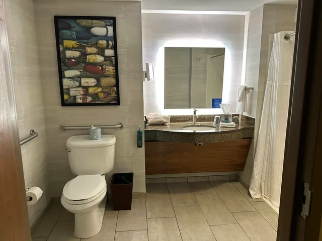 غرفة بسرير كينج لذوي الإعاقة، DoubleTree by Hilton Hotel Bay City - Riverfront 3/4