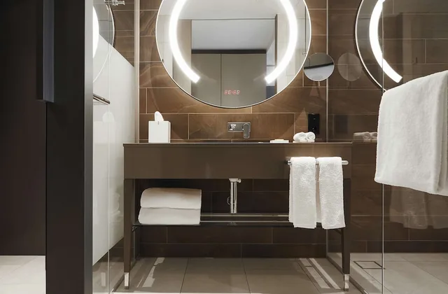 غرفة بسريرين منفصلين وسرير كينج، Hyatt Regency Amsterdam 8/9