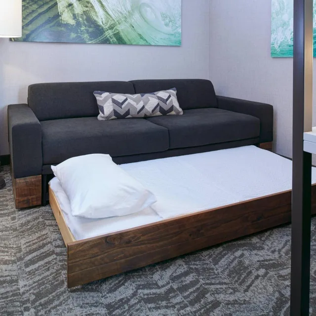 جناح بسرير كوين بإطلالة على المدينة لذوي الإعاقة، Springhill Suites Detroit Wixom 3/10