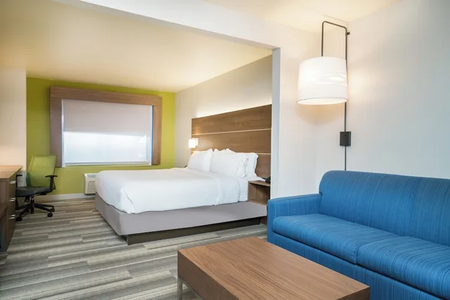 Suite, King Bed, Extra Floor Space, Sofa، Holiday Inn Express & Suites Rocky Mount/Smith Mtn Lake 4/5